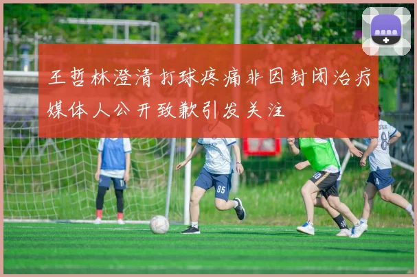 王哲林澄清打球疼痛非因封闭治疗媒体人公开致歉引发关注